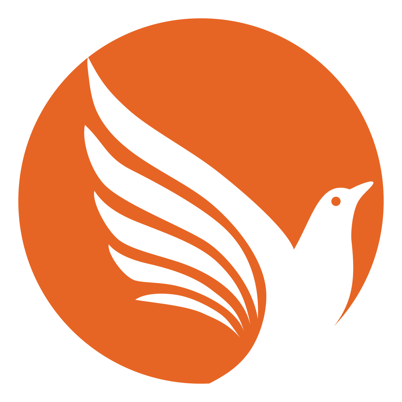 Nova POETIKA - Izdavač i promoter umetnosti